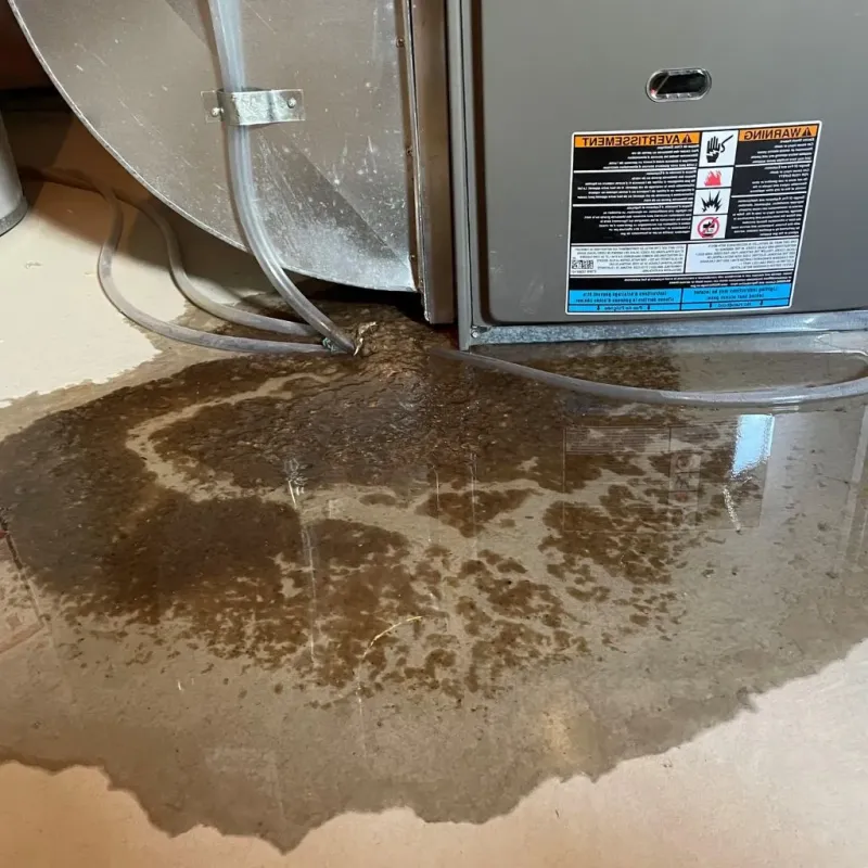Pipe Burst and Leak Restoration in Crow Wing County, MN